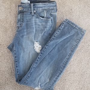 Torrid jeans